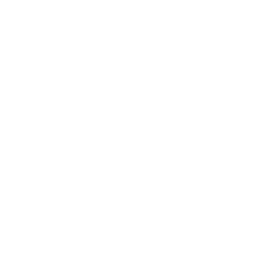 Tripza — Travel Beyond Limits